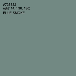 #728882 - Blue Smoke Color Image