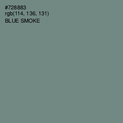 #728883 - Blue Smoke Color Image