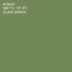 #728957 - Glade Green Color Image