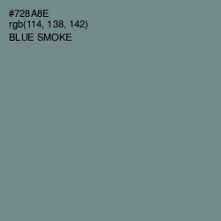 #728A8E - Blue Smoke Color Image