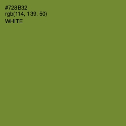 #728B32 - Wasabi Color Image