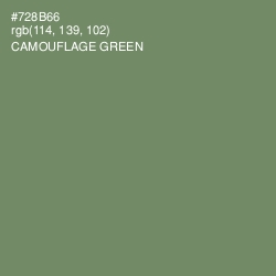 #728B66 - Camouflage Green Color Image