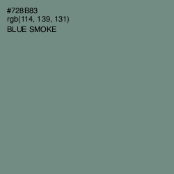 #728B83 - Blue Smoke Color Image