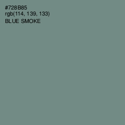 #728B85 - Blue Smoke Color Image