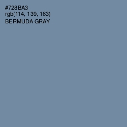 #728BA3 - Bermuda Gray Color Image