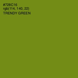 #728C16 - Trendy Green Color Image