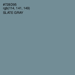 #728D95 - Slate Gray Color Image