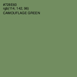 #728E60 - Camouflage Green Color Image