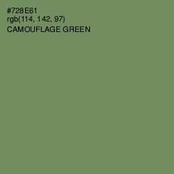 #728E61 - Camouflage Green Color Image