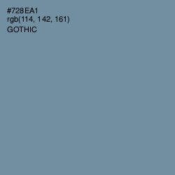 #728EA1 - Gothic Color Image