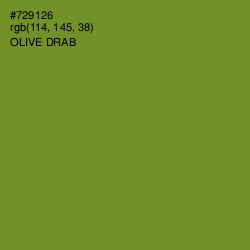 #729126 - Olive Drab Color Image