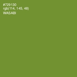 #729130 - Wasabi Color Image