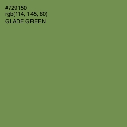 #729150 - Glade Green Color Image