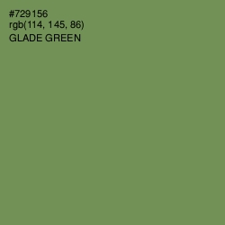 #729156 - Glade Green Color Image