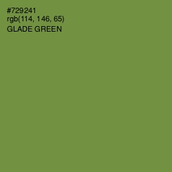 #729241 - Glade Green Color Image