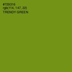 #729316 - Trendy Green Color Image