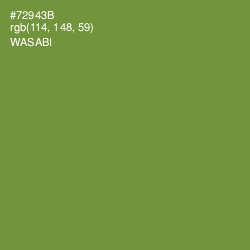 #72943B - Wasabi Color Image