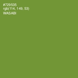 #729535 - Wasabi Color Image