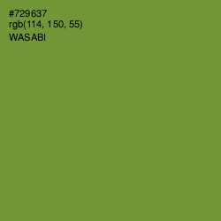 #729637 - Wasabi Color Image