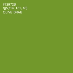 #72972B - Olive Drab Color Image