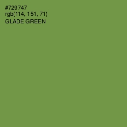 #729747 - Glade Green Color Image