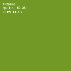 #729826 - Olive Drab Color Image