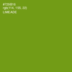 #729B16 - Limeade Color Image