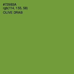 #729B3A - Olive Drab Color Image