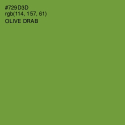 #729D3D - Olive Drab Color Image