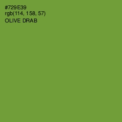 #729E39 - Olive Drab Color Image