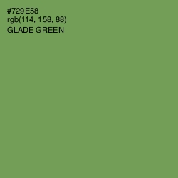 #729E58 - Glade Green Color Image