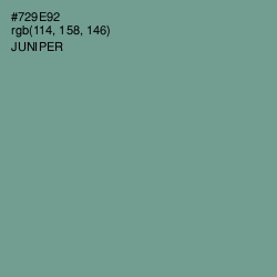 #729E92 - Juniper Color Image