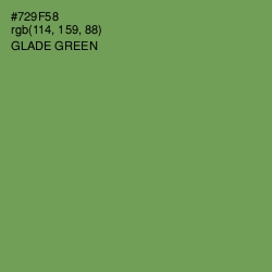 #729F58 - Glade Green Color Image