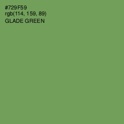 #729F59 - Glade Green Color Image