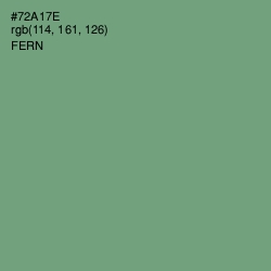 #72A17E - Fern Color Image