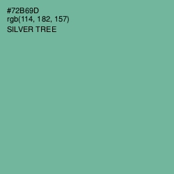 #72B69D - Silver Tree Color Image