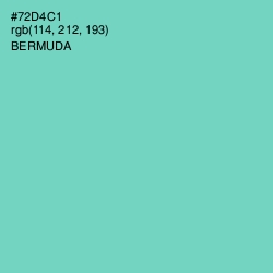 #72D4C1 - Bermuda Color Image