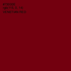 #73000E - Venetian Red Color Image