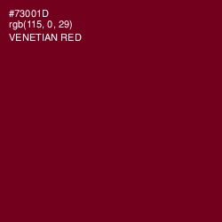 #73001D - Venetian Red Color Image