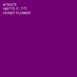 #730075 - Honey Flower Color Image