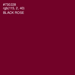 #730228 - Black Rose Color Image