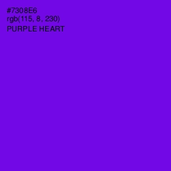 #7308E6 - Purple Heart Color Image