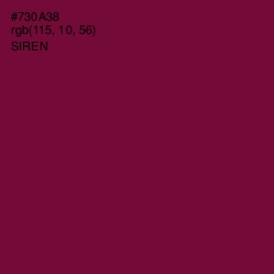 #730A38 - Siren Color Image