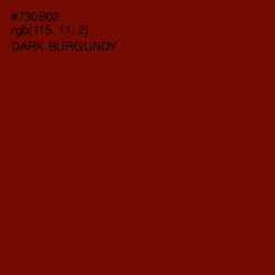 #730B02 - Dark Burgundy Color Image