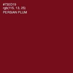 #730D19 - Persian Plum Color Image