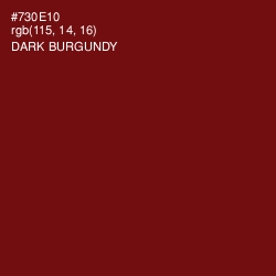 #730E10 - Dark Burgundy Color Image