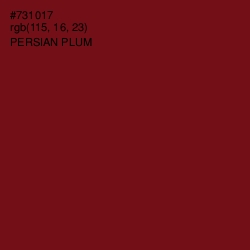 #731017 - Persian Plum Color Image