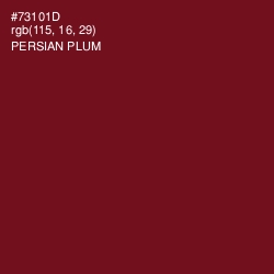 #73101D - Persian Plum Color Image