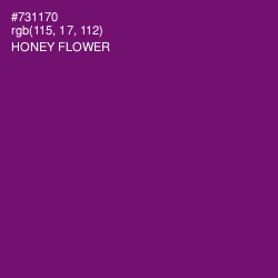 #731170 - Honey Flower Color Image