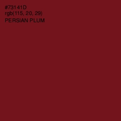 #73141D - Persian Plum Color Image